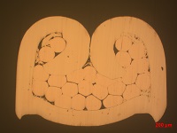 1594020663233662.jpg 壓接截點(diǎn)橫截面觀察-.jpg